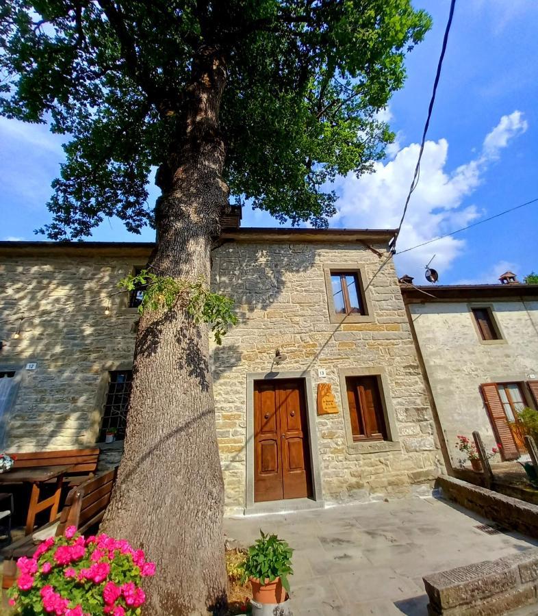 산타 소피아 Casina La Quercia 아파트 외부 사진