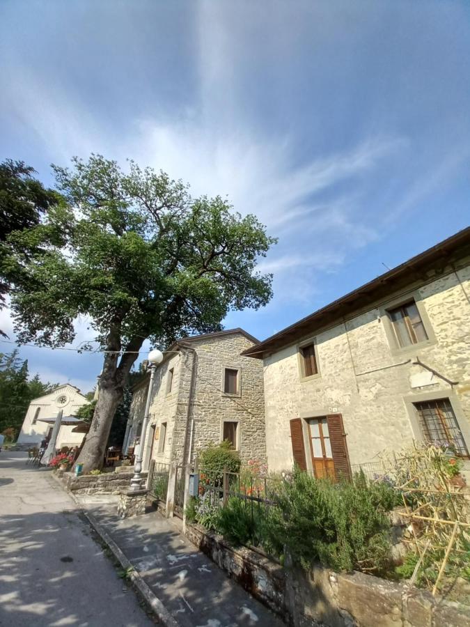 산타 소피아 Casina La Quercia 아파트 외부 사진