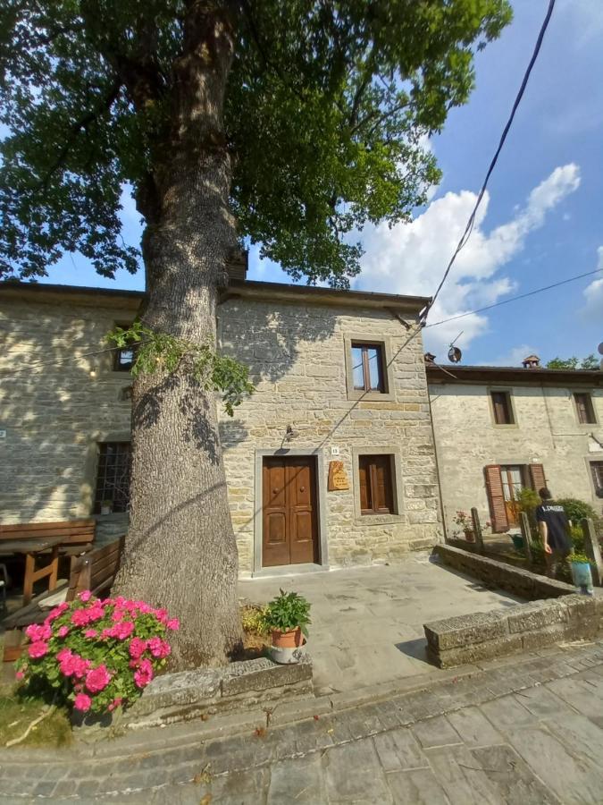 산타 소피아 Casina La Quercia 아파트 외부 사진