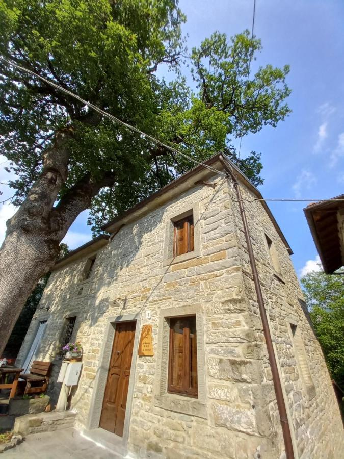 산타 소피아 Casina La Quercia 아파트 외부 사진